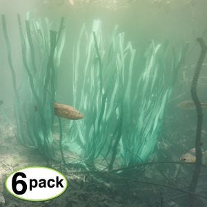 Fish Grass® 24" 6-Pack