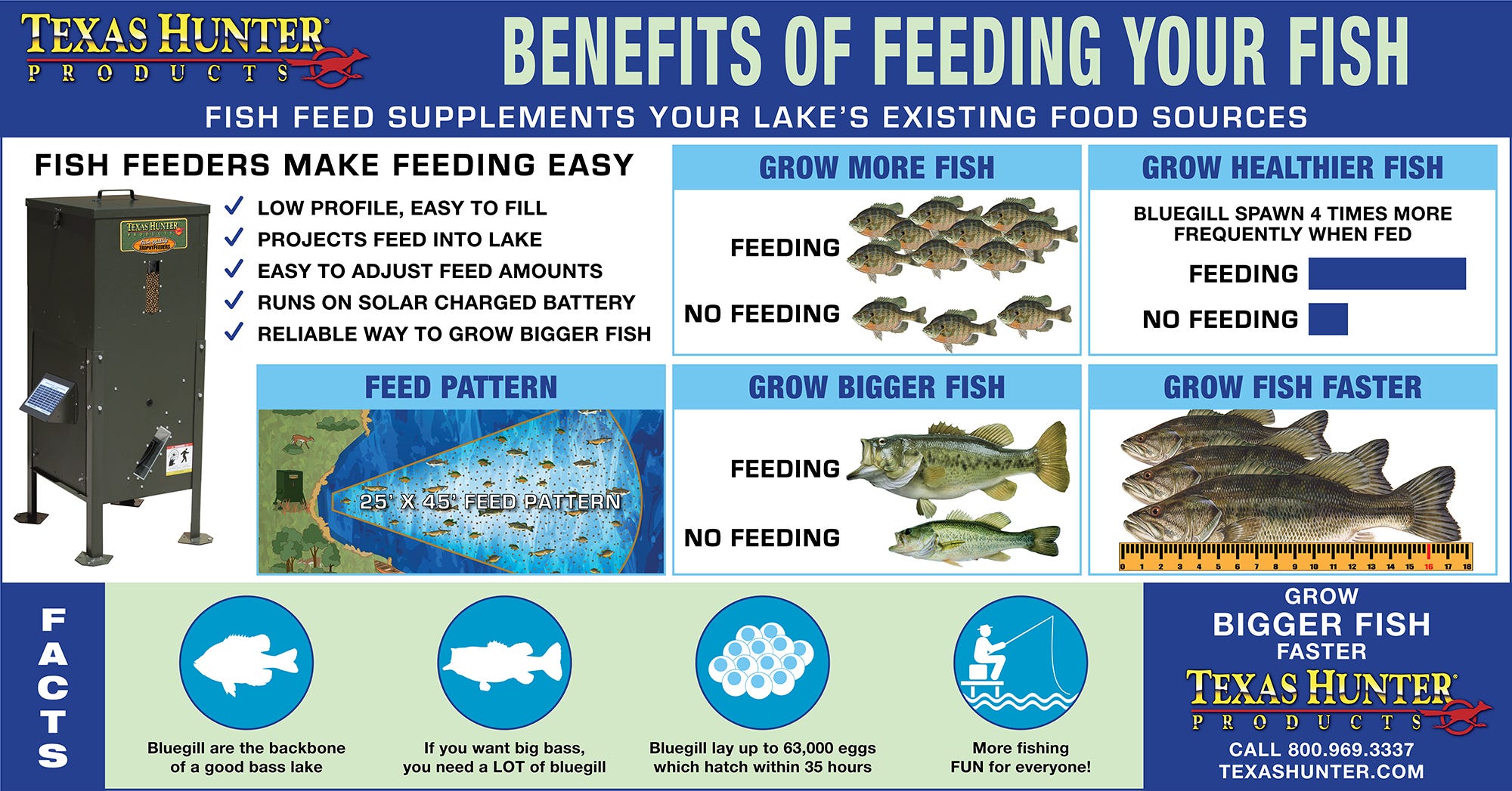 The Benefits of Feeding Your Fish