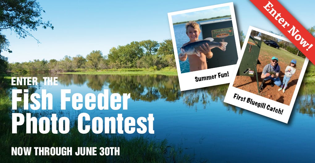 2022-fish-photo-contest-jun.jpg