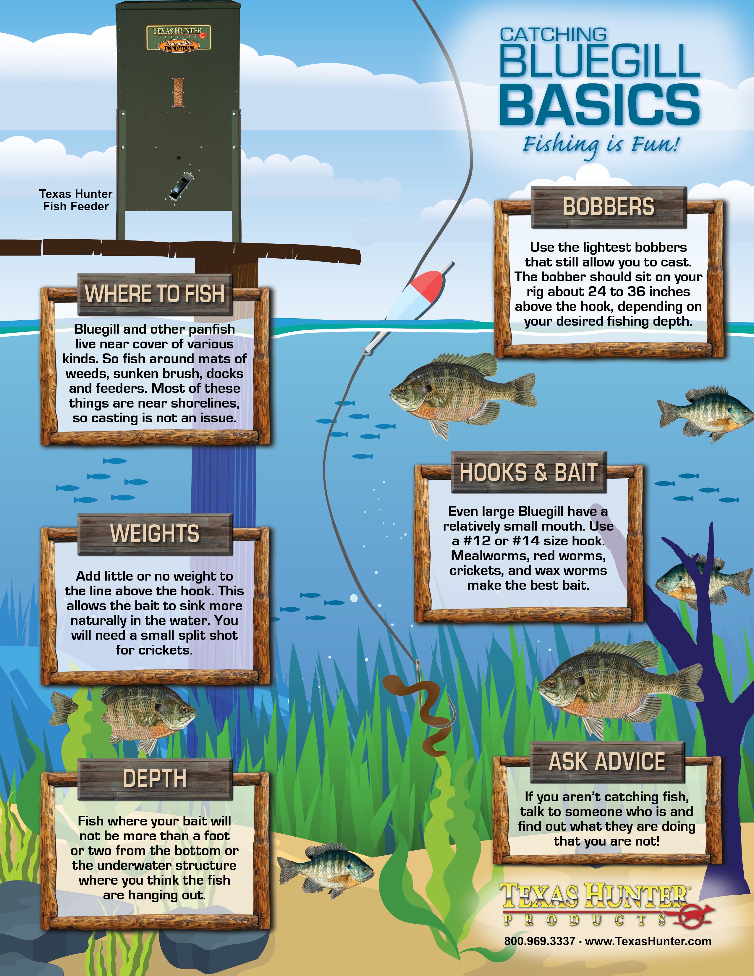 bluegill-basics-infographic.jpg