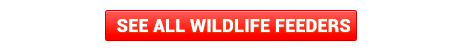 see-all-wildlife-button.png